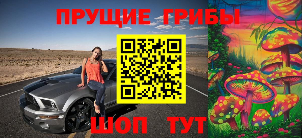 Псилоцибиновые грибы MAGIC MUSHROOMS  Вход с VPN  хочу   Можга 